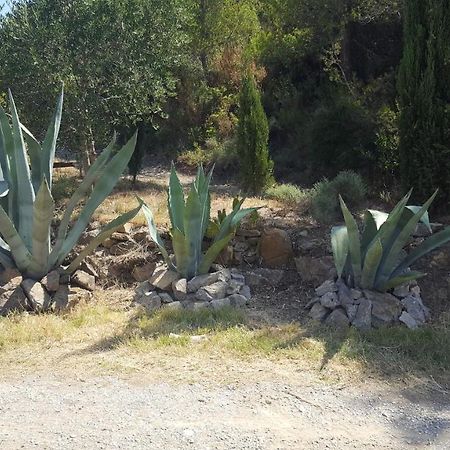 La Loubiere, Ancienne Bergerie En Pleine Garrigue Bed & Breakfast Fraisse-des-Corbieres Exterior photo