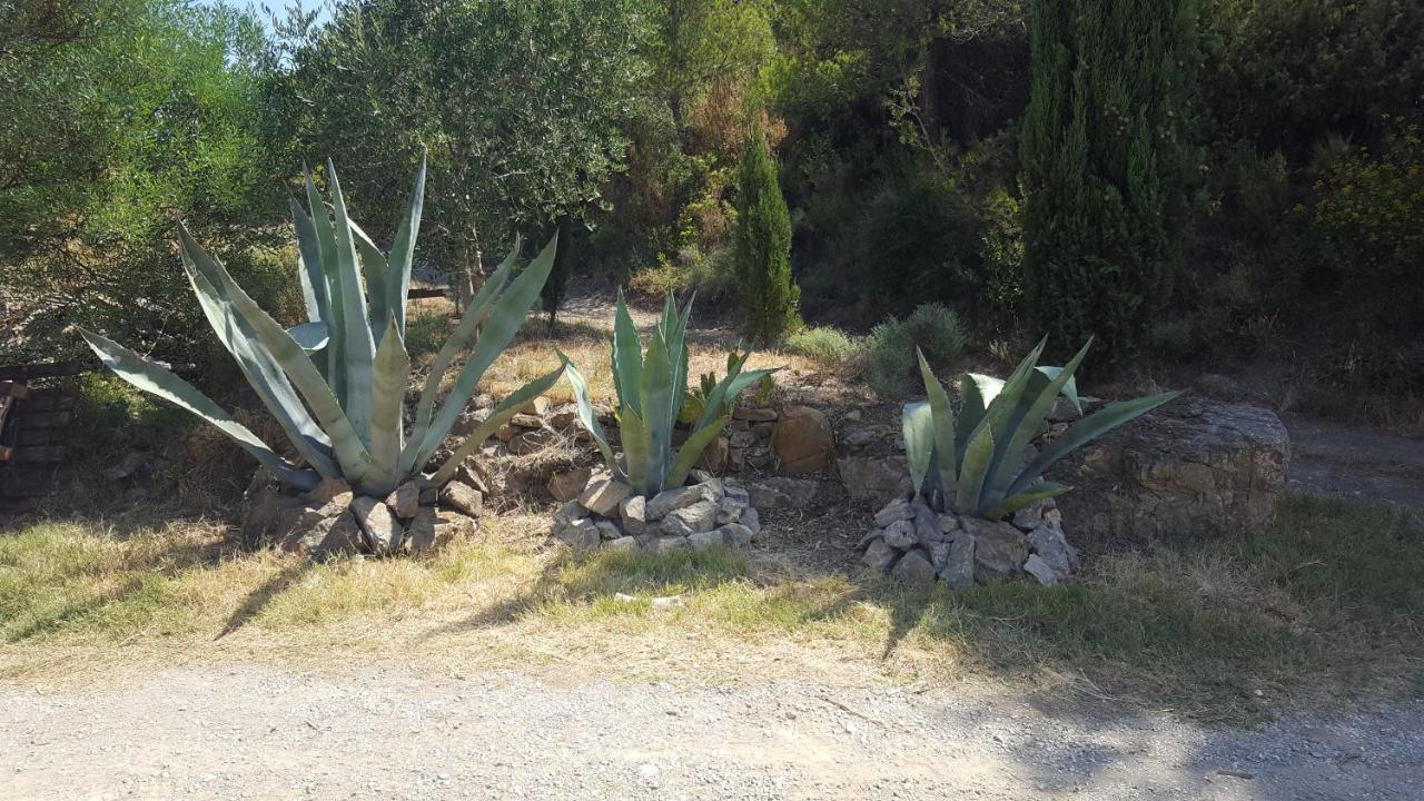 La Loubiere, Ancienne Bergerie En Pleine Garrigue Bed & Breakfast Fraisse-des-Corbieres Exterior photo